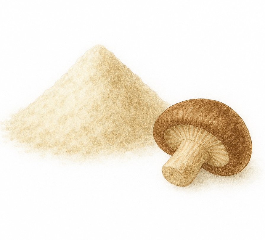β-glucanes de champignons et levures