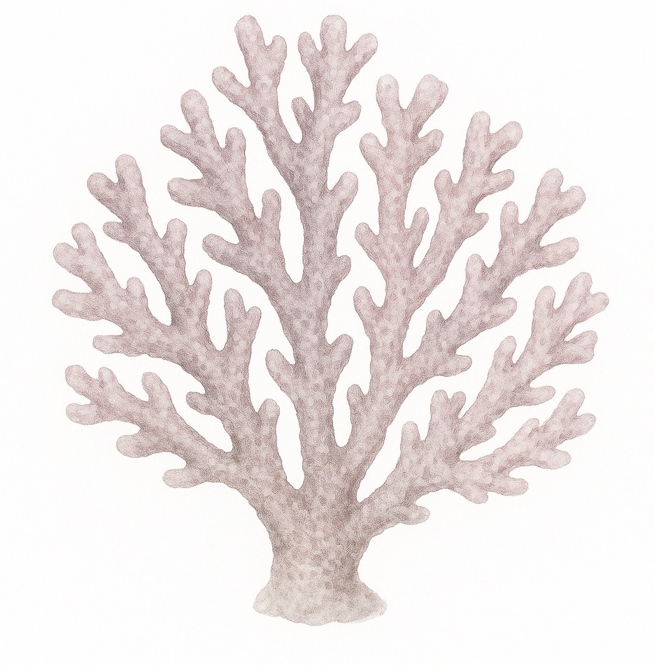 Lithothamne