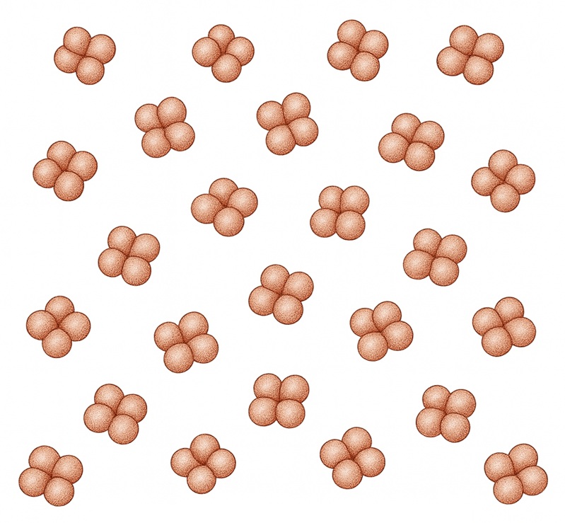 Pediococcus acidilactici